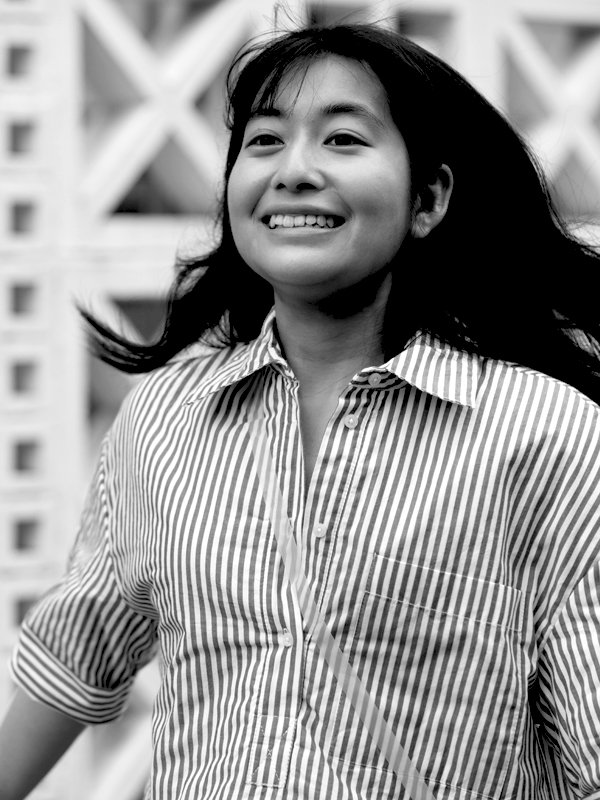 Image gallery marquee